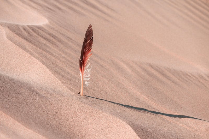 Dune